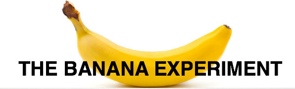 The Banana Experiment - Common Sense Evaluation