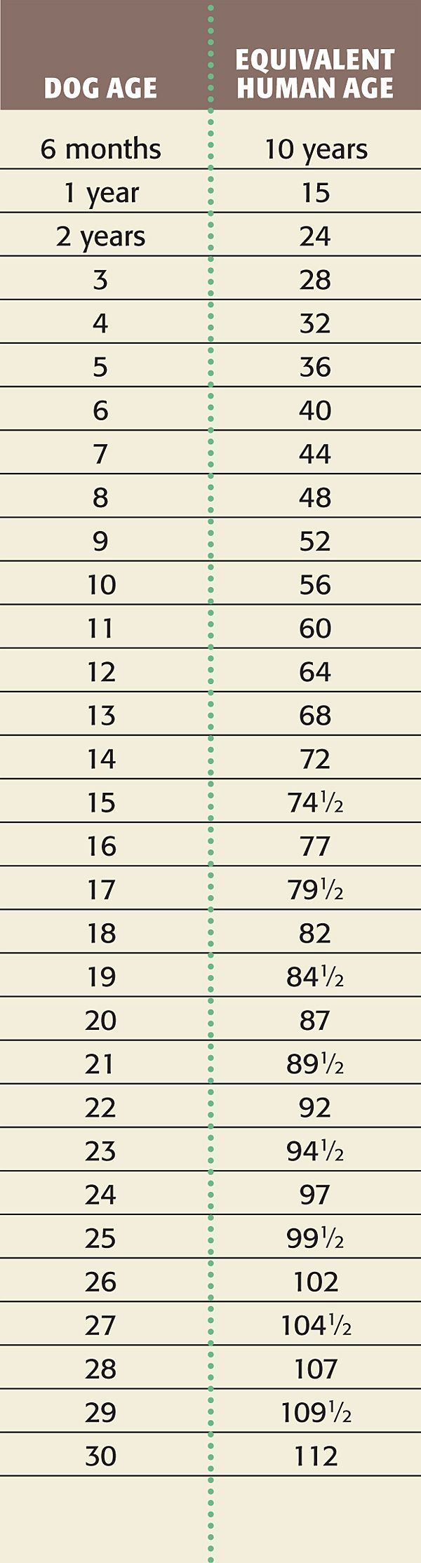 Dog Years Conversion Chart