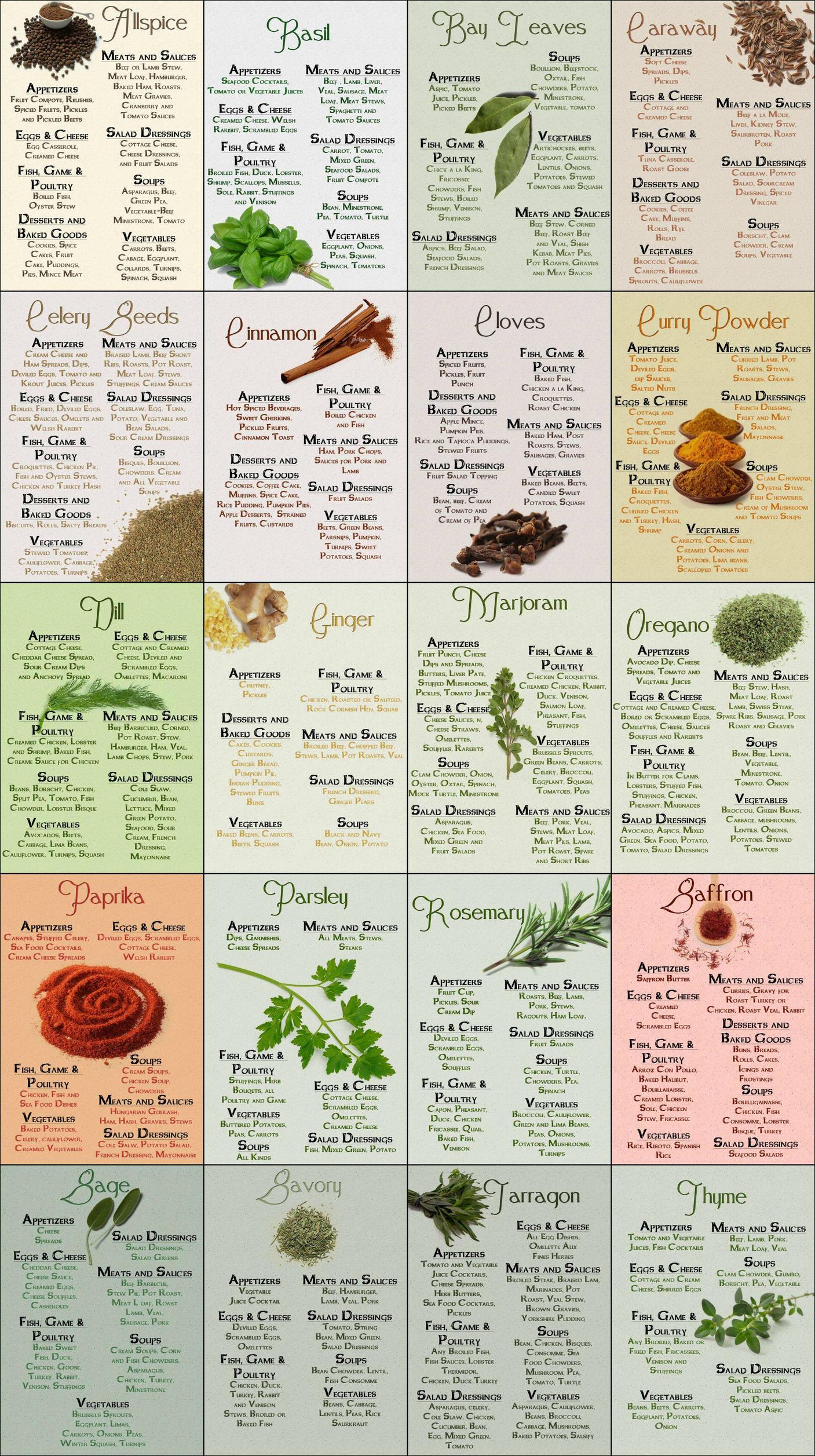 Herb & Spice Chart - Common Sense Evaluation