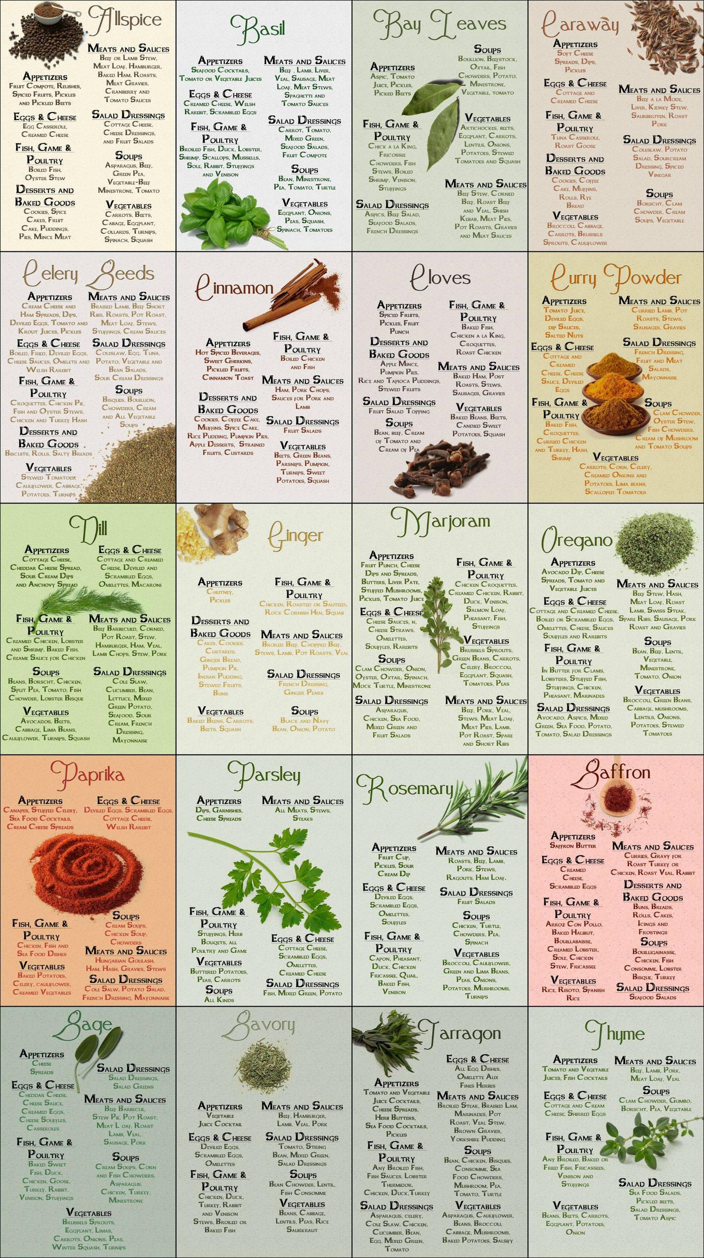 Herbs And Spices How To Use Them Chart