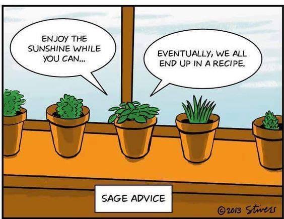 Sage-Advice.jpg