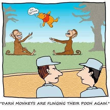 Image result for monkeys flinging poop
