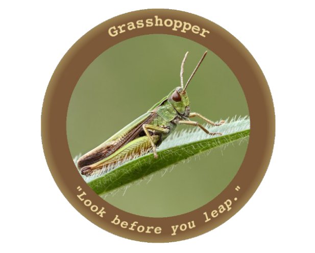 Wikileaks: CIA Malware For Windows "Grasshopper" - Common ...