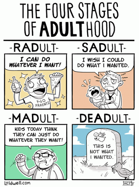 Four-stages-of-adulthood.gif