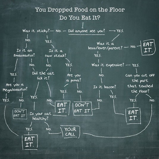 You-dropped-food-on-the-floor.-Do-you-eat-it.jpg