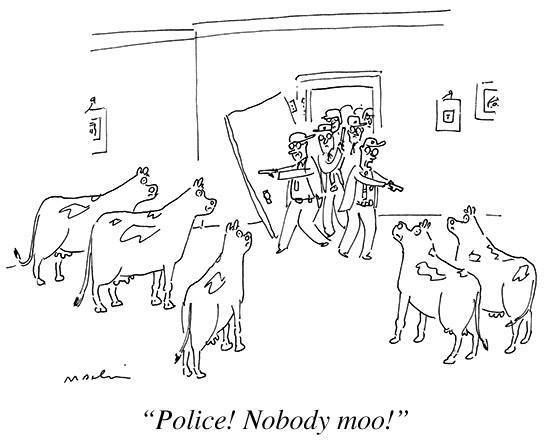 Cartoon-Of-The-Day-Captured-Cows.jpg