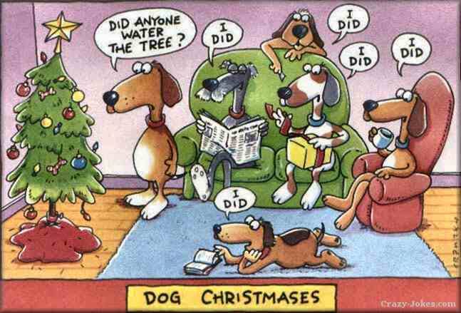 Dog-Christmases.jpg