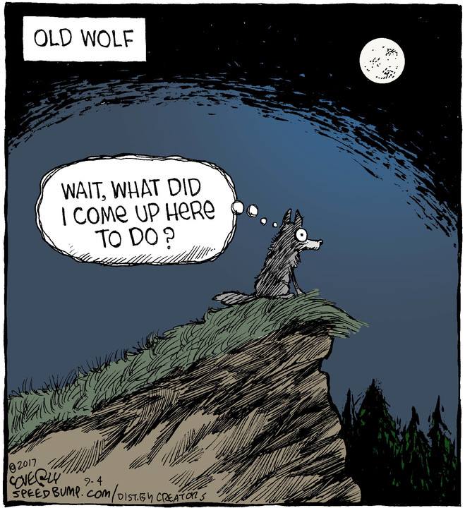 The-Old-Wolf.jpg